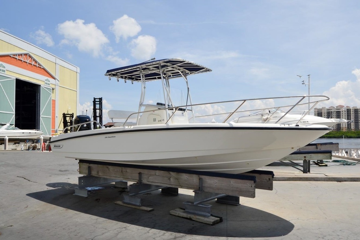 2009 Boston Whaler 230 Dauntless, 3