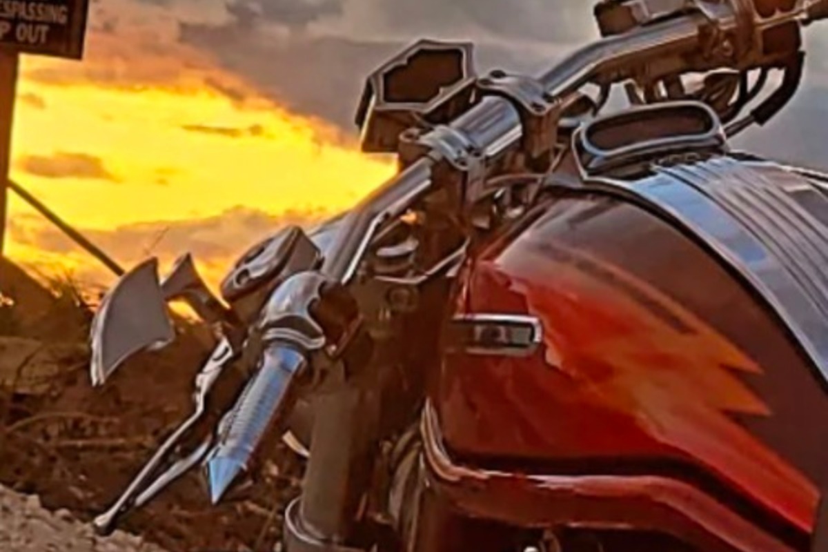 2005 Harley-davidson Cvo screamin eagle v-rod vrscse, 6