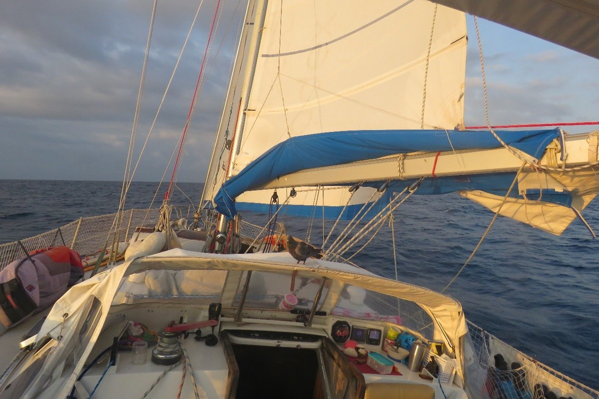 1984 Garcia Maracuja 38, 5