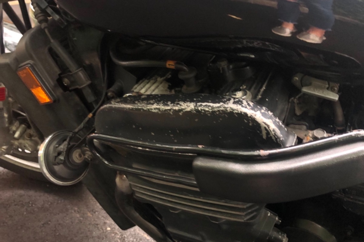 1986 Kawasaki Eliminator, 7