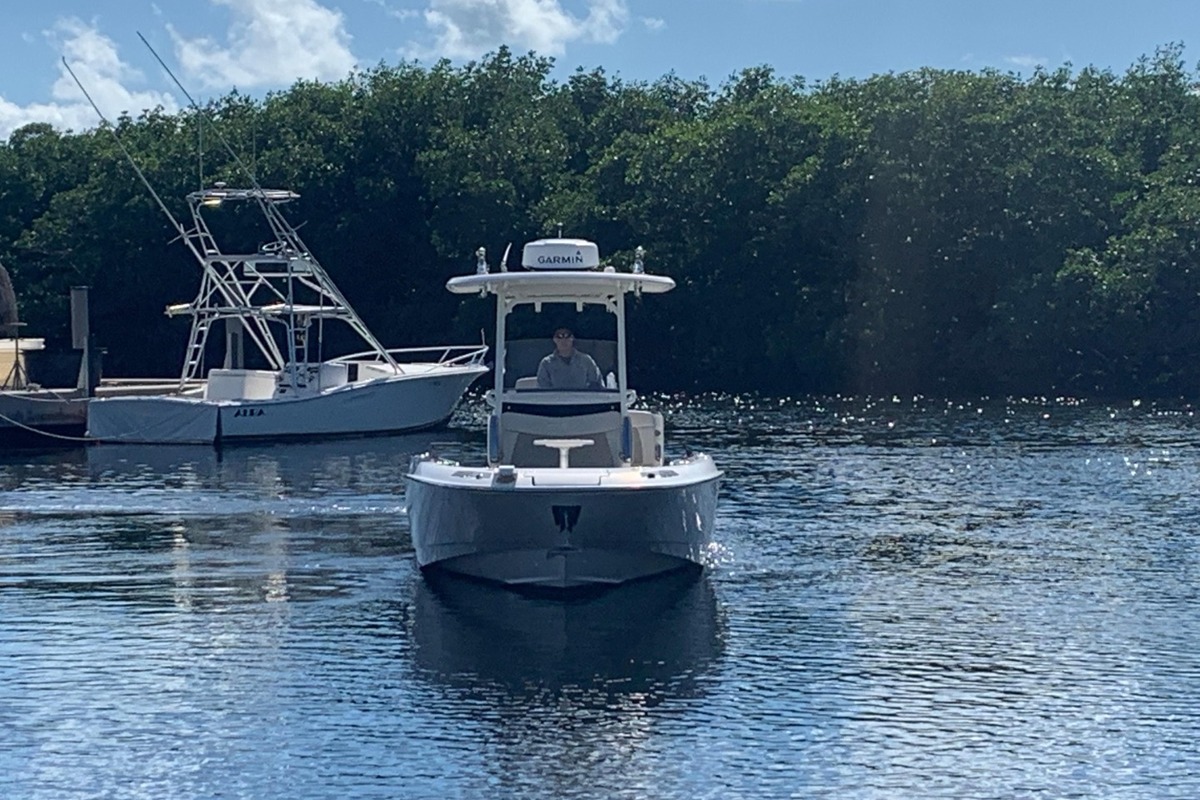 2019 Boston Whaler 270 Dauntless, 1