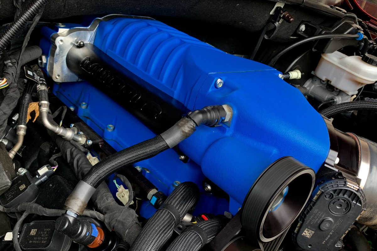 2019 Ford Shelby F-150, 16