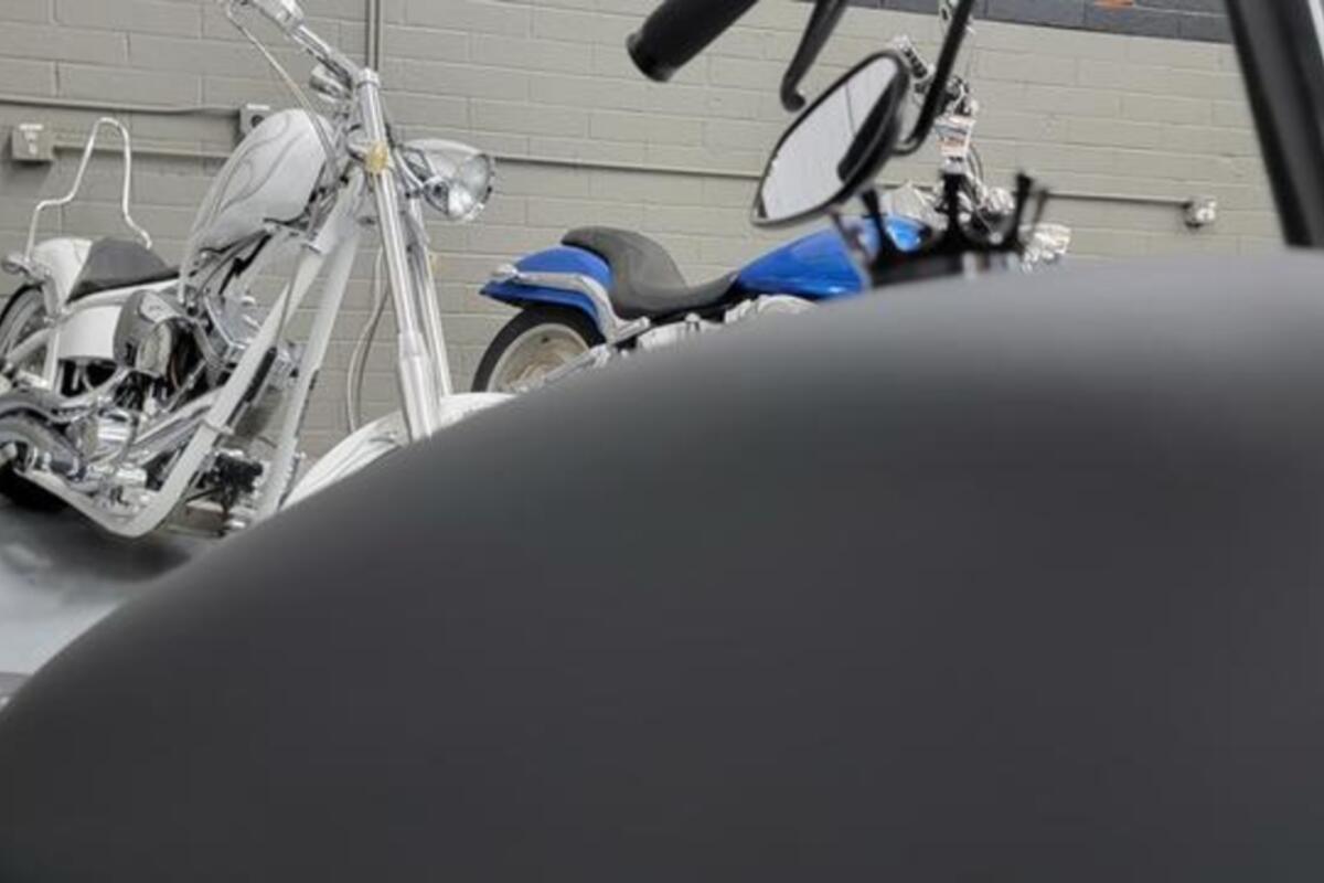 2022 Harley-Davidson Sportster Iron 883, 8