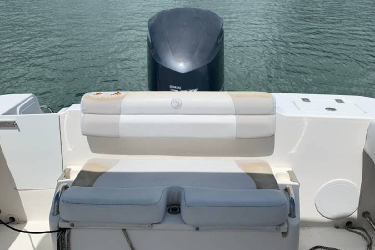 2011 EdgeWater 245 CX, 7