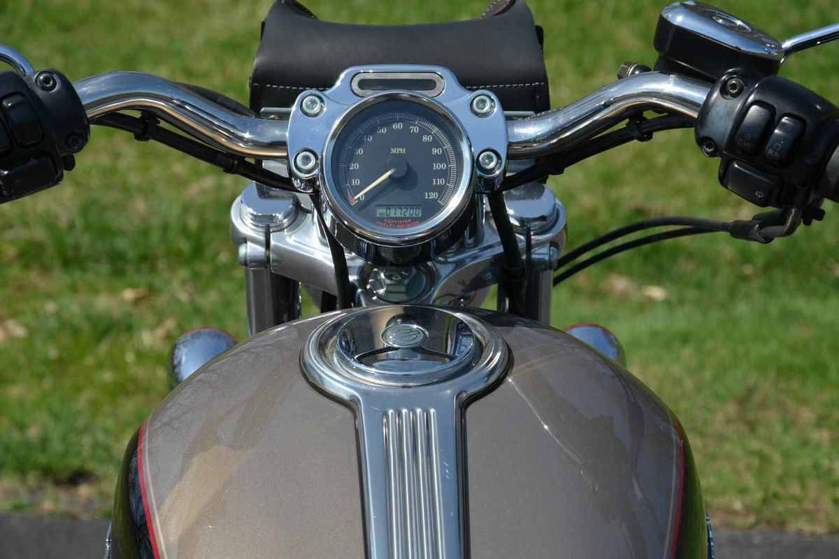 2004 Harley-Davidson Sportster, 4