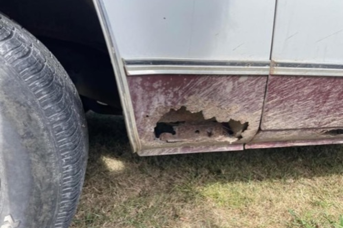 1980 Chevrolet C-10 Too good to pass up, 3