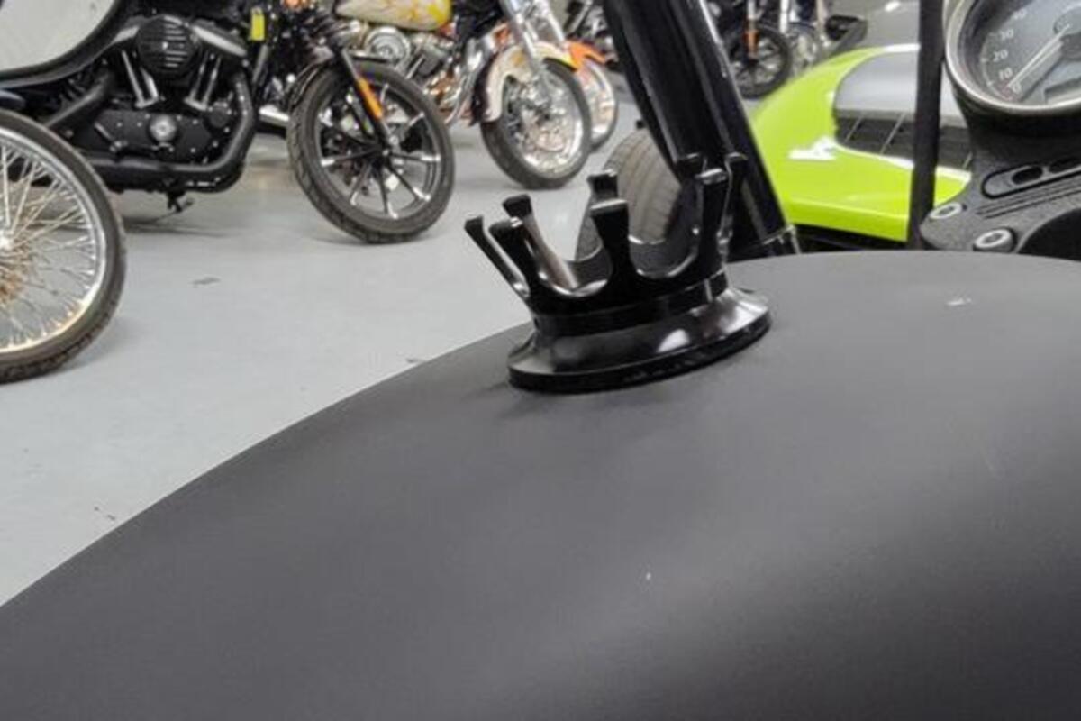 2022 Harley-Davidson Sportster Iron 883, 7