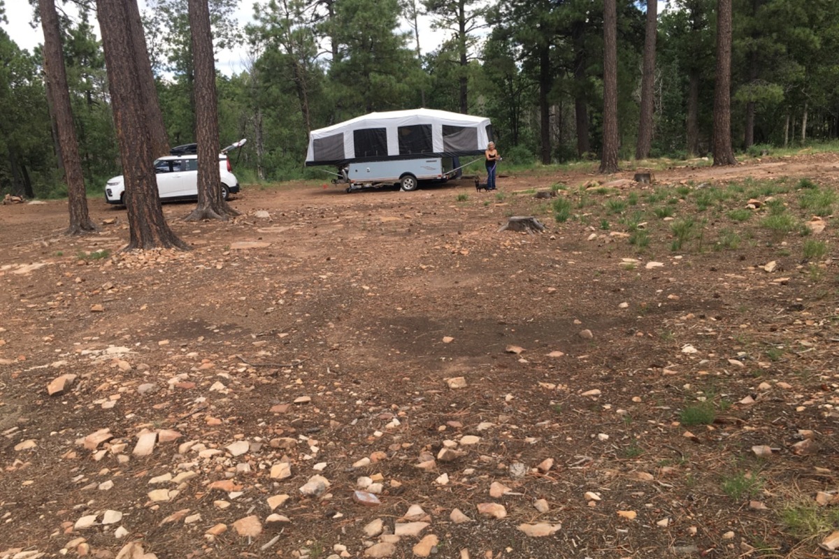 2015 Livinlite Quicksilver 10.0, 4