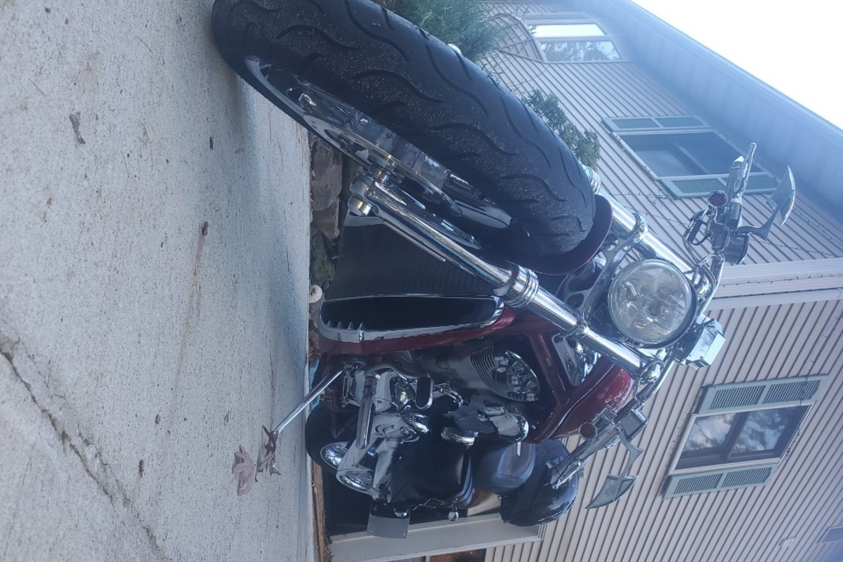 2005 Harley-davidson Cvo screamin eagle v-rod vrscse, 2
