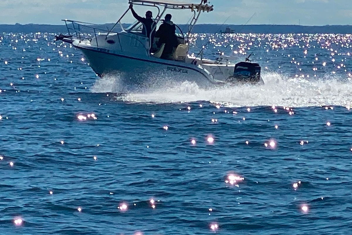 2003 Sea fox Sea fox 23, 4
