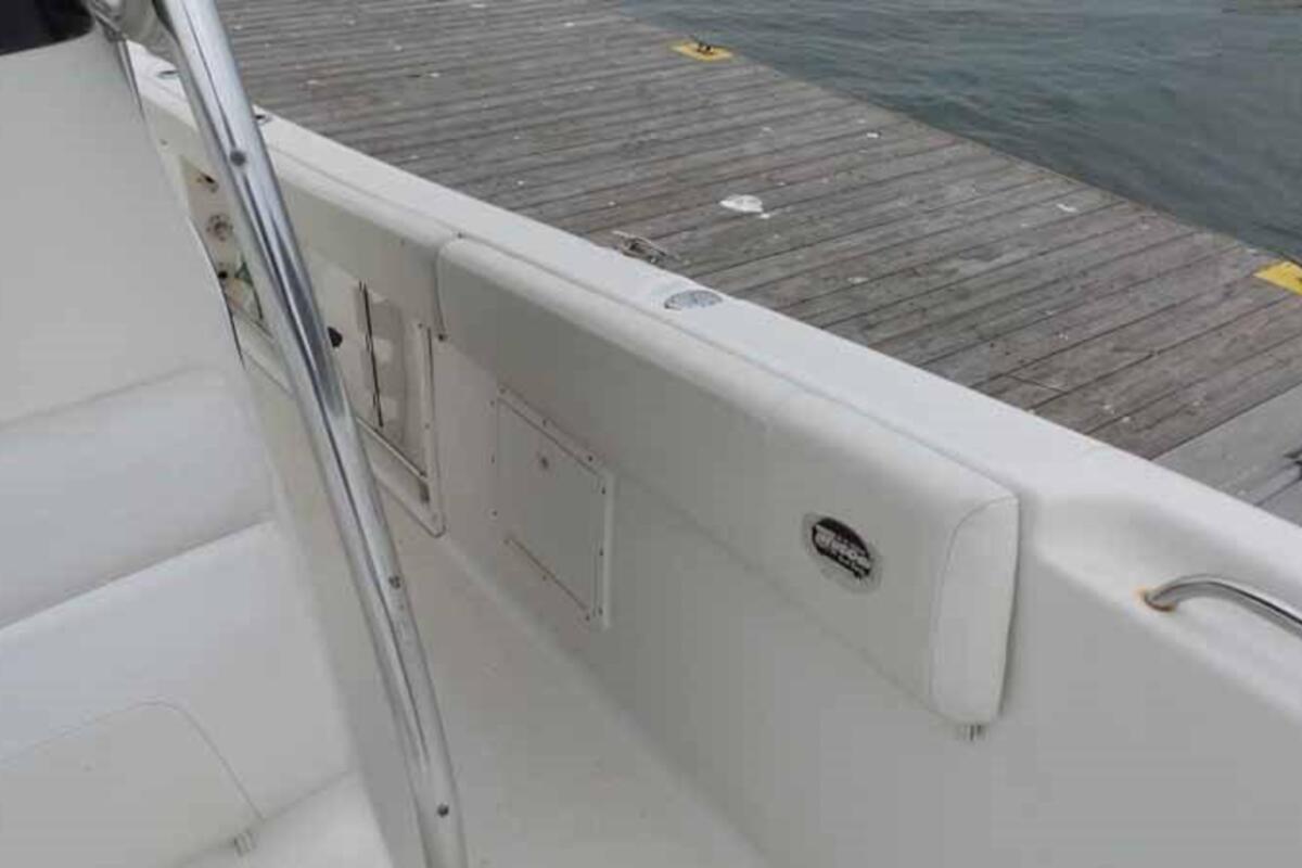 2006 Triton Boats 2690 CC, 18
