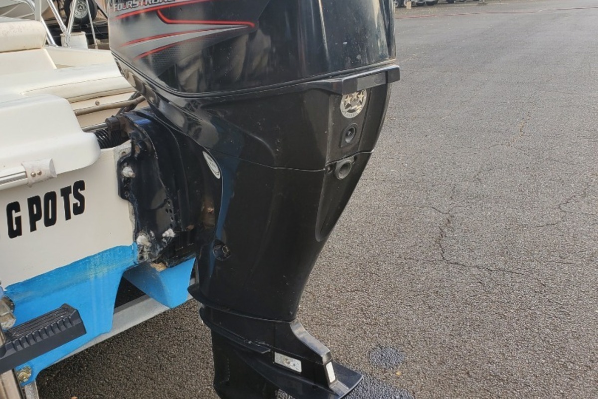 2014 Twin Vee Catamarans Bay Cat 17, 2