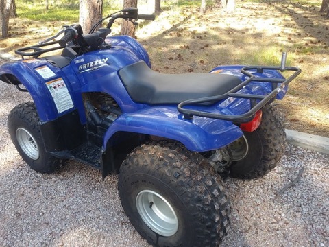2006 Yamaha Grizzly 125