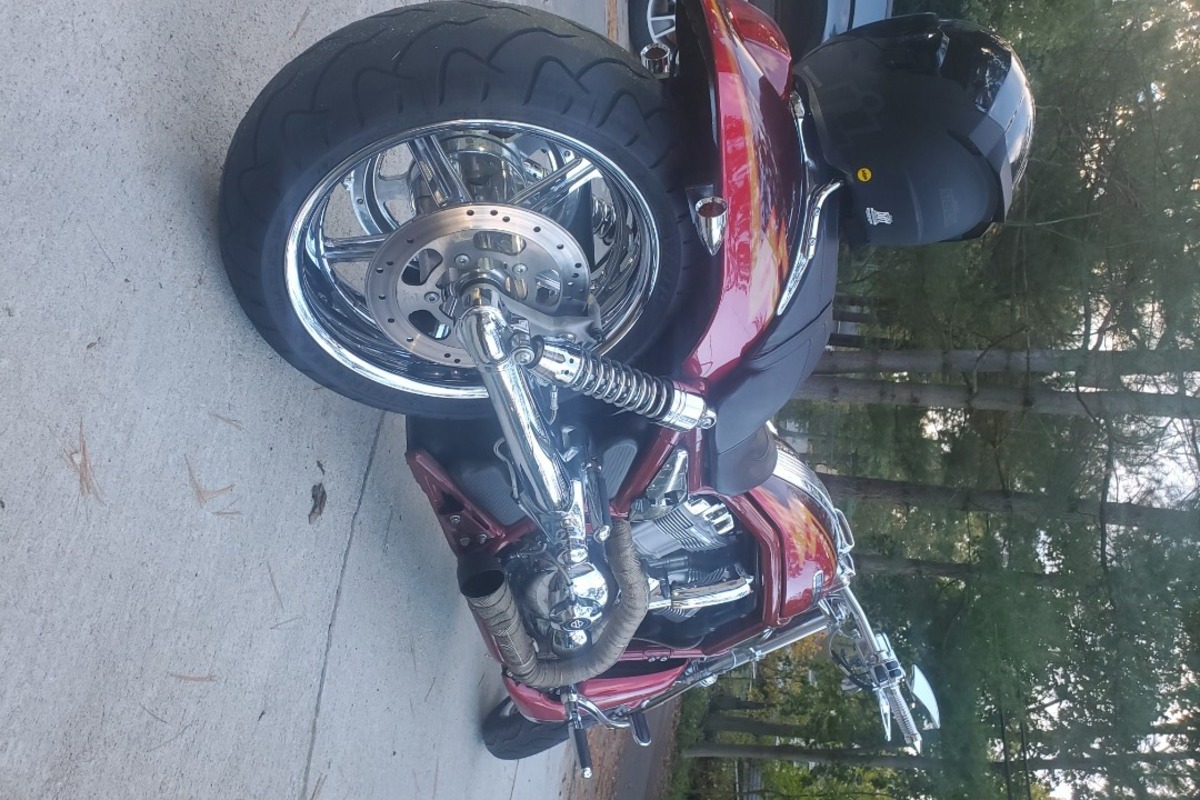 2005 Harley-davidson Cvo screamin eagle v-rod vrscse, 0