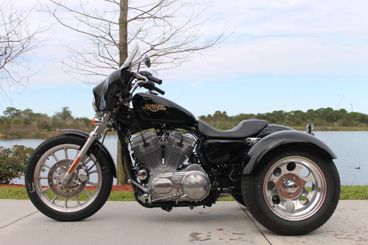 2010 Harley Davidson 883L Frankenstein, 0