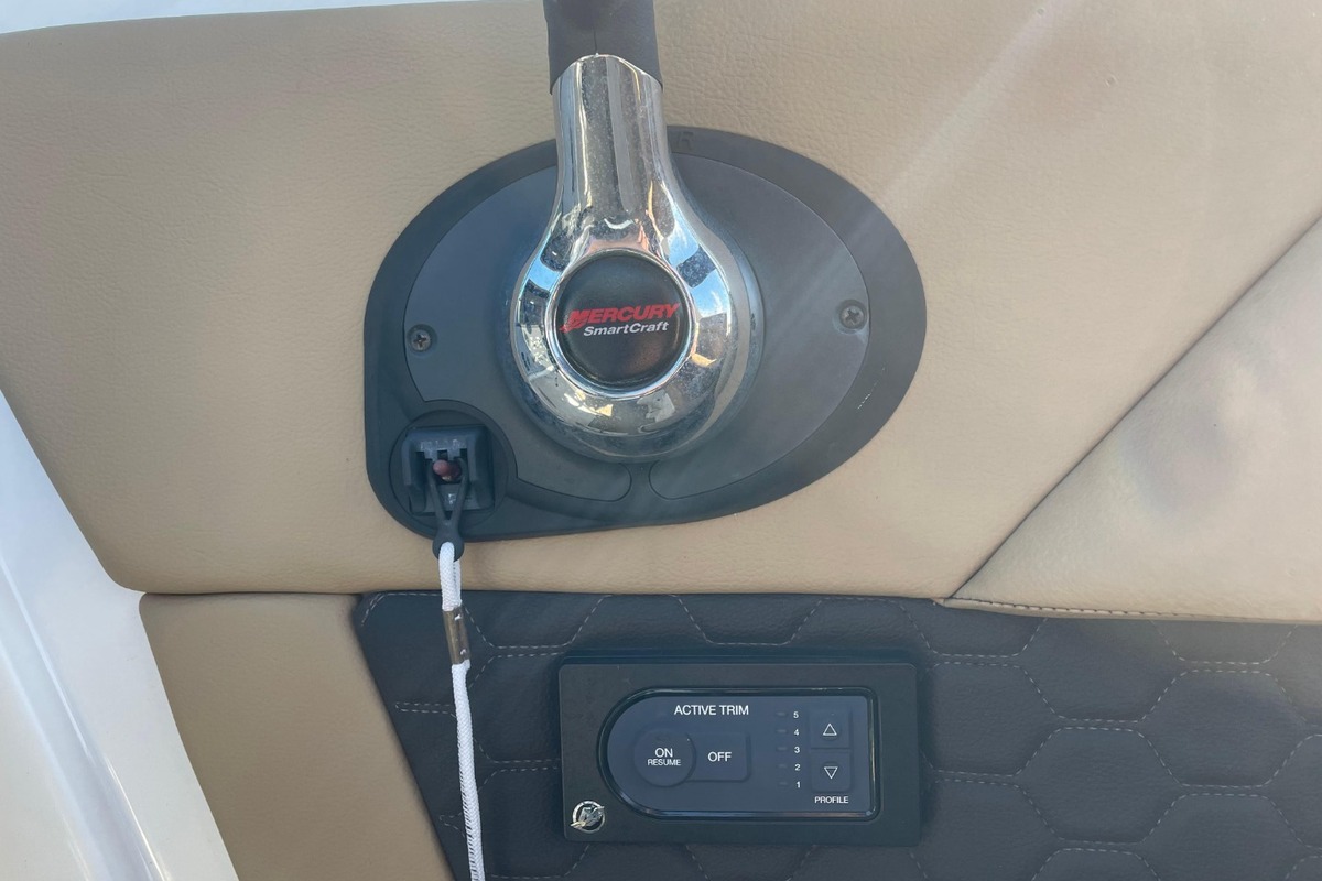 2018 Sea Ray 270 Sundeck, 8