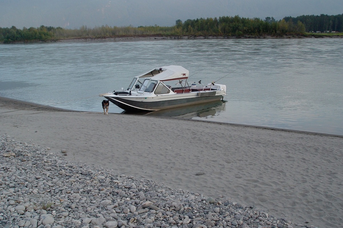 2000 Duckworth Silverwing, 4