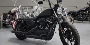 2022 Harley-Davidson XL883N