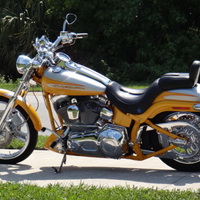 2004 Harley-Davidson Screaming Eagle Deuce, 1