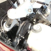 2009 Thoroughbred Stallion, 5