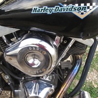 1975 Harley-Davidson Softail Chopper, 1