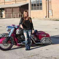 1995 Harley-Davidson Touring, 0