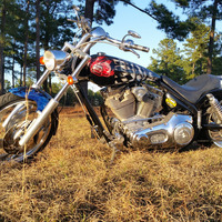2004 Iron Horse Stalker, 4