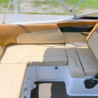 2015 Sea Ray 240 Sundeck, 13