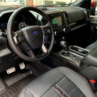 2019 Ford Shelby F-150, 17