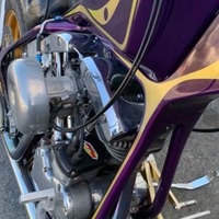 1968 Harley-Davidson Shovel head chopper, 3