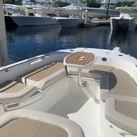 2019 Boston Whaler 270 Dauntless, 5