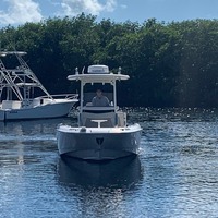 2019 Boston Whaler 270 Dauntless, 1