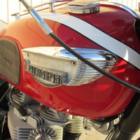 1966 Triumph Tiger 650cc, 7