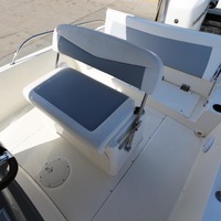 2015 Boston Whaler 240 Dauntless, 12