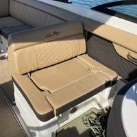 2018 Sea Ray 270 Sundeck, 12