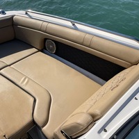 2018 Sea Ray 270 Sundeck, 14