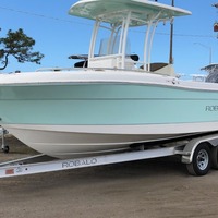 2017 Robalo R222 Center Console, 0