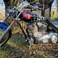 2004 Iron Horse Stalker, 0