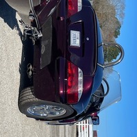 2009 Thoroughbred Motorsports Stallion, 4