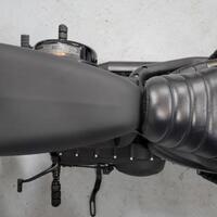 2022 Harley-Davidson Sportster Iron 883, 5