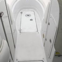 2006 Crownline 262, 19