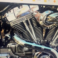 2009 Harley-Davidson FXDFSE CVO DYNA FAT BOB, 10