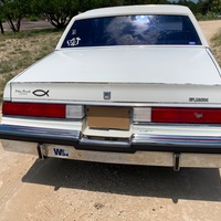 1981 Buick Regal Limited, 6