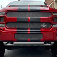 2019 Ford Shelby F-150, 31
