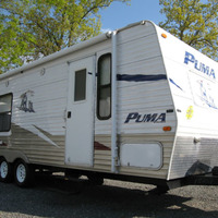 2008 Palomino Puma, 0