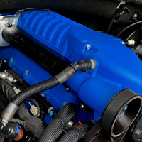 2019 Ford Shelby F-150, 16