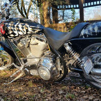 2004 Iron Horse Stalker, 1
