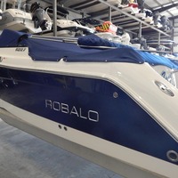 2010 Robalo R227 Dual Console, 6