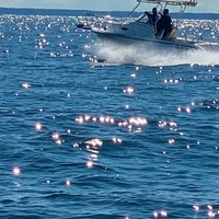2003 Sea fox Sea fox 23, 3
