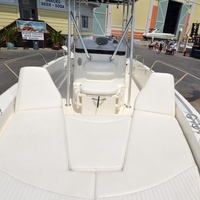 2009 Boston Whaler 230 Dauntless, 12